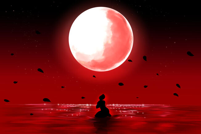 The sillouhette of Rose Aretta Azi "The Black Rose." sitting in a shallow, glistening lake of water under the full moon in a red, serene realm.